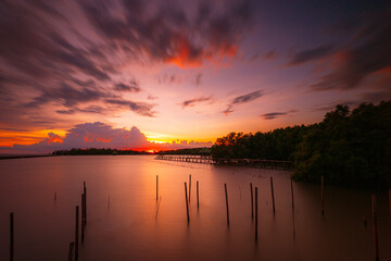 Coast and mangrove forest in the evening in Thailand,Tropical mangrove forest under sunlight with cloudy blue sky in phang nga bay, Thailand.