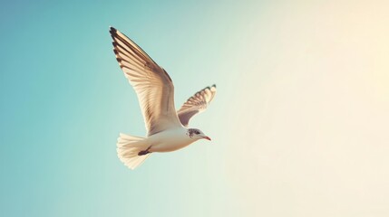 Fototapeta premium An artistic image of a bird soaring against a clear blue sky, with a focus on the intricate details of its feathers and the sense of freedom in flight.