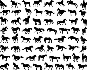 Big set of horses silhouettes
