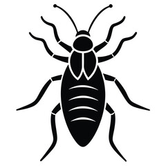 Louse Vector Drawing.