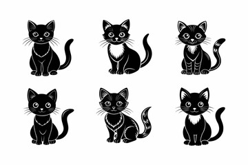 black and white cats