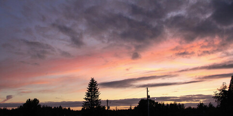 Pink and Purple Cotton Candy Skies in Shelton, WA