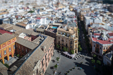 Naklejka premium Views of Seville City Center From the Giralda Tower Showcasing Architecture