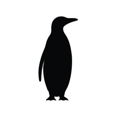 Fototapeta premium a Penguin, vector silhouette, isolated on white background 