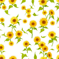 sunflowers isolated on white png