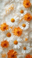Obraz premium Fresh chamomile and calendula flowers, natural ingredients for soothing skincare, arranged on a delicate background to showcase their calming effects