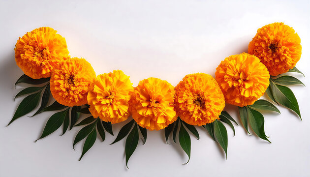  Indian floral marigold garland &ndash; A vector illustration of a traditional Indian marigold gar_1(263)
