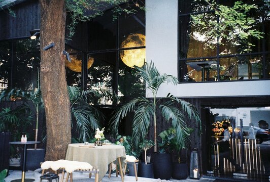 Leika Film camera: restaurant