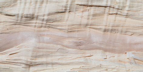 Image of the texture of a chopped wooden cloth