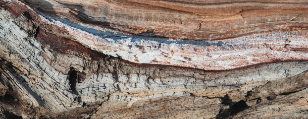 Image of the texture of a chopped wooden cloth
