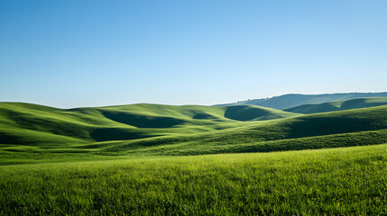 Fototapeta premium Serene landscape of rolling green hills under a clear blue sky