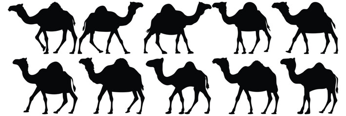 Camel silhouette set vector design big pack of animal illustration and icon