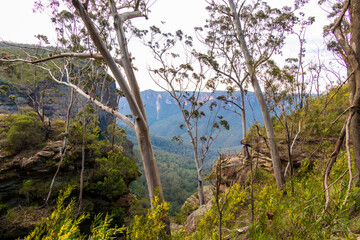 Photograph of bushland and the natural amphitheatre of the scenic Grose Valley near Blackheath in the Blue Mountains in New South Wales, Australia.