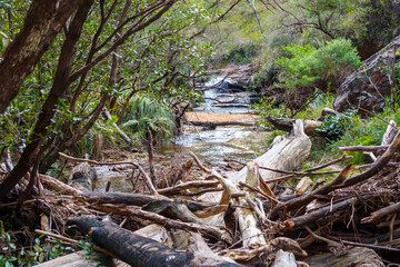 Photograph of Popes Glen Creek flowing through the Grose Valley near Blackheath in the Blue Mountains in New South Wales, Australia.