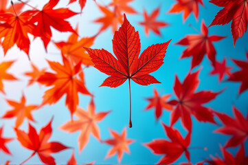Leuchtend rote Blätter im Herbst