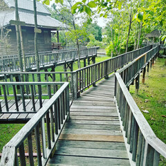 Obraz premium wooden bridge in the woods