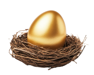 A beautiful golden egg resting in a natural nest, symbolizing prosperity and new beginnings.