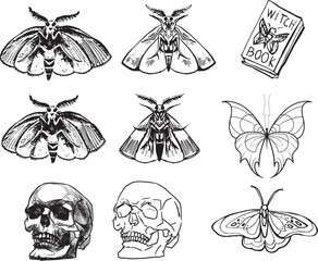 Line Set Witch item Halloween Clip art set candle drawing human skull outline moth butterfly contour witch cauldron Magic Hand drawing design element illustration Occult Symbol graphic animal skull