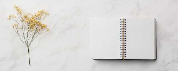 Virgo planner, clean lines, detailed focus, organized space, precise execution