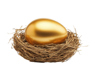 A shiny golden egg resting in a nest, symbolizing wealth, success, and prosperity. Perfect for various creative projects.