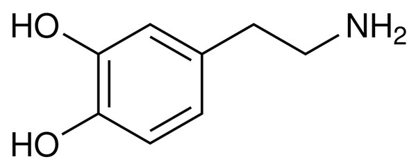 Dopamin Neurotransmitter Chemie Strukturformel Vektor