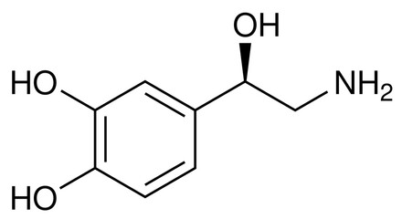 Noradrenalin Neurotransmitter Chemie Strukturformel Vektor