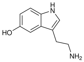 Fototapeta premium Serotonin Chemie Strukturformel Vektor
