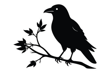 crow with branch black silhouette C.eps