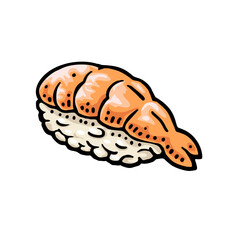 Nigiri Sushi with shrimp. Isolated on white background. Vintage color vector engraving