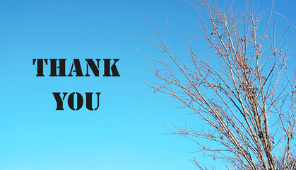 Thank you card, text or lettering. handwritten typography. On a white background. Vector