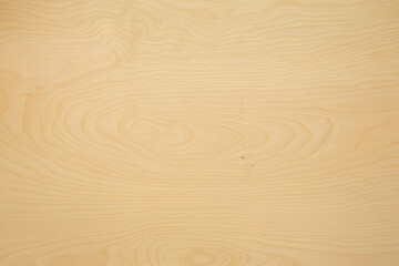 High Key Birch Wood Plank Texture Background