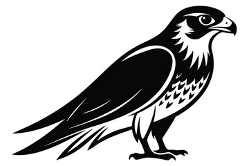 Falcon vector illustration white background C.eps