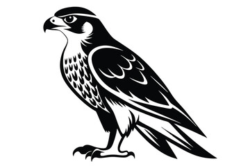 Falcon vector illustration white background E.eps