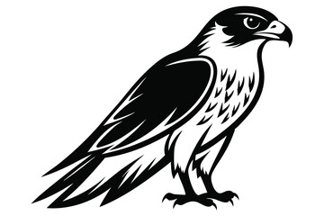 Falcon vector illustration white background F.eps