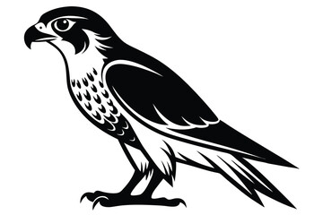Falcon vector illustration white background B.eps