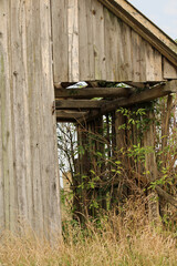 A person holding a green bottle near a backdrop of branches and a stone structure. The casual placement and earthy tones create a simple, everyday scene with muted contrasts
