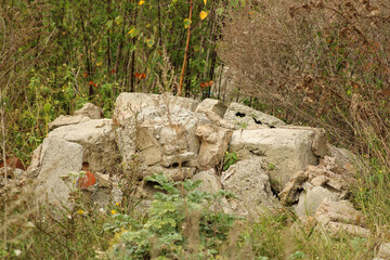 A pile of rubble and debris surrounded by overgrown vegetation. The scattered remnants of construction hint at abandonment and the slow reclaiming of space by nature
