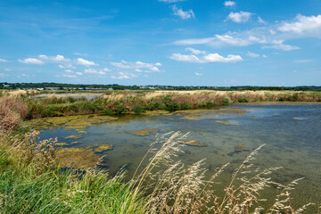 marais salants , île de Noirmoutier, 85, Vendée, France