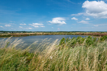 marais salants , île de Noirmoutier, 85, Vendée, France