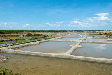 Sel, Paludier, Marais salants, Guerande, 44, Loire Atlantique, France