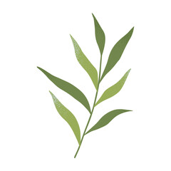 Vector green summer and spring branches and leaves.Simple element for botany emblem design.Organic logo template.Hand drawn floral illustration for prints,flyers,banners,invitations,branding design