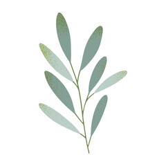 Vector green summer and spring branches or leaves.Simple element for botany emblem design.Organic logo template.Hand drawn floral illustration for prints,flyers,banners,invitations,branding design