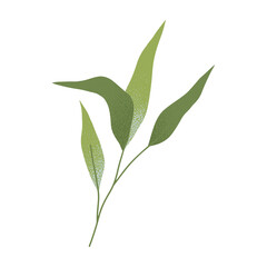 Vector green summer and spring branches and leaves.Simple element for botany emblem design.Organic logo template.Hand drawn floral illustration for prints,flyers,banners,invitations,branding design