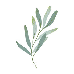 Vector green summer and spring branches and leaves.Simple element for botany emblem design.Organic logo template.Hand drawn floral illustration for prints,flyers,banners,invitations,branding design