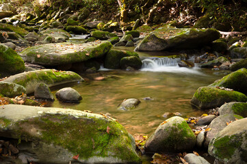 Slow moving creek in fall in the Great Smoky Mountains, Tennessee.