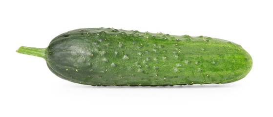 One fresh green cucumber isolated on white