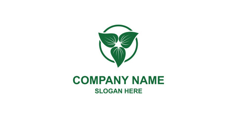 company logo with leaves ,premium vector