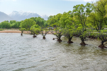Explore the Scenic Beauty of Glenorchy, New Zealand: A Gateway to Lake Wakatipu, Dart River, and the Southern Alps Queenstown