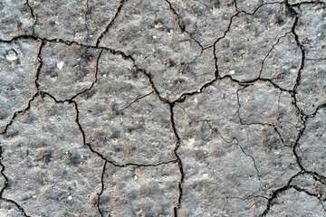 Fototapeta premium Dry Cracked Soil