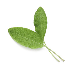 Fototapeta premium Fresh green sage leaves isolated on white, top view
